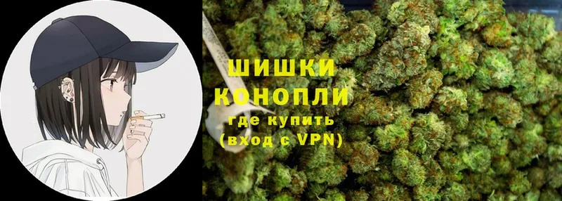 Шишки марихуана SATIVA & INDICA  где можно купить наркотик  MEGA ссылки  Краснознаменск 